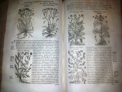 Historia generalis plantarum ...