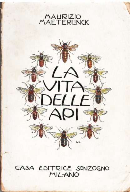 La vita delle api