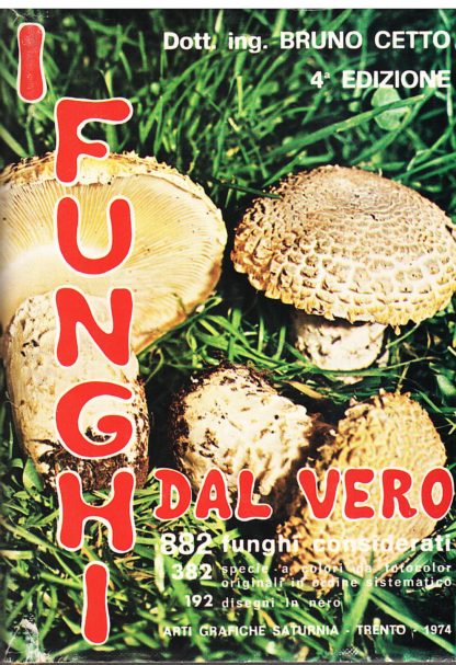 I funghi dal vero