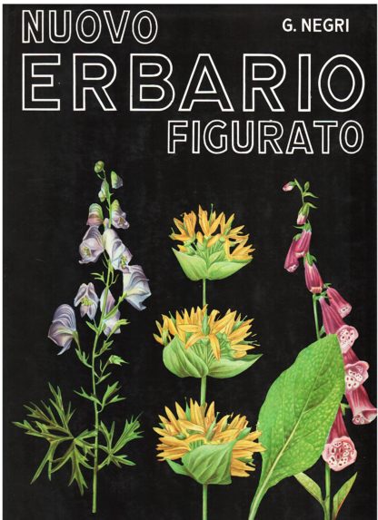 Erbario figurato