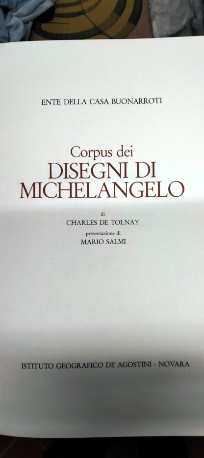 Corpus dei disegni di Michelangelo