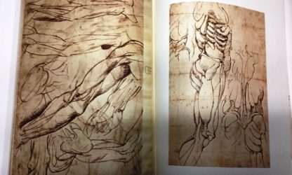 Corpus dei disegni di Michelangelo