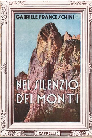 Nel silenzio dei monti. Racconti di una guida alpina